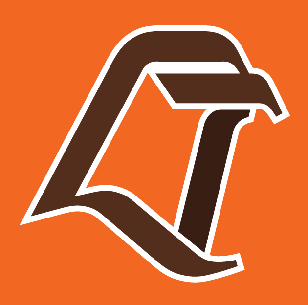 Bowling Green Falcons 1980-2005 Alternate Logo iron on paper